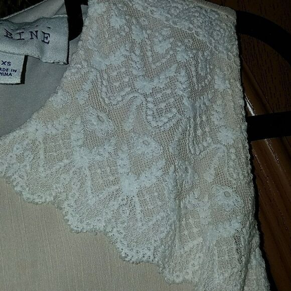 Sabine lace cream dress Sz. XS NWOT - Picture 5 of 6